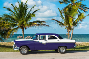 Amerikanischer blau weisser Ford Fairlane Oldtimer parkt am Strand unter Palmen in Varadero Cuba - Serie Cuba Reportage - 184095148