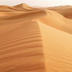 Desert