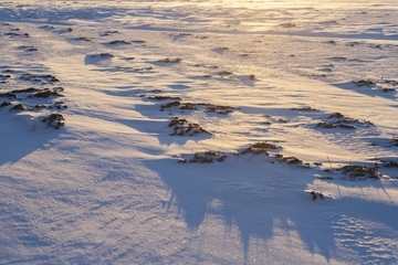 Winter landscape, field in winter snow,warm colors photo.

