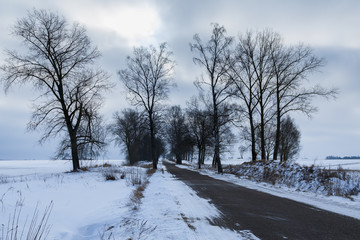 Winter landscape, field in winter snow, snow-covered road.
