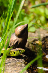 sand lizard and a bird figure