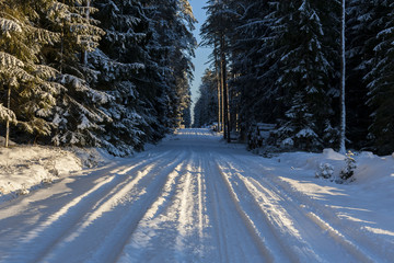 Winter landscape, beautiful forest in a winter coat, snow-covered trees and road. Winter afternoons in Bialowieza National Park.
