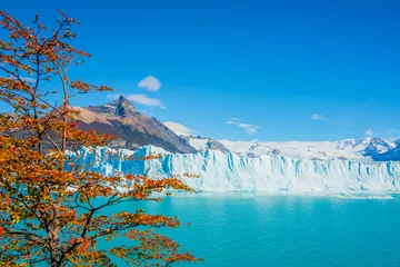 Türaufkleber Blick auf den Perito-Moreno-Gletscher in Patagonien © neurobite