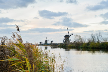 Naklejka premium Old windmills in Kinderdijk at sunrise, Holland, Netherlands, Europe. Unesco world heritage site.
