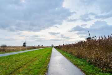 Fototapeta na wymiar Old windmills in Kinderdijk at sunrise, Holland, Netherlands, Europe. Unesco world heritage site.