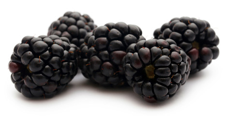 Fresh blackberries