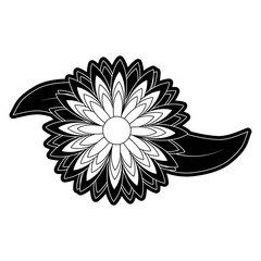 flower  vector illustration