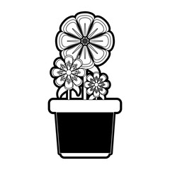 flowerpot  vector illustration