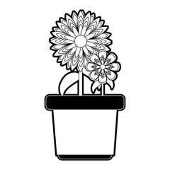 flowerpot  vector illustration