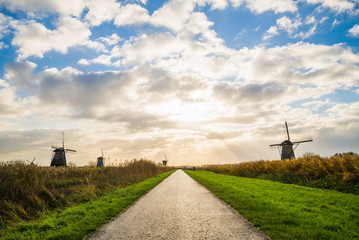 Old windmills in Kinderdijk at sunrise, Holland, Netherlands, Europe. Unesco world heritage site.