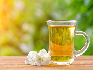 Transparent mug of tea with jasmine on a background of greenery, sunlight. Close-up