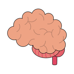 Human brain isolated icon vector illustration graphic design