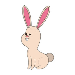 Cute bunny cartoon icon vector illustration graphic design