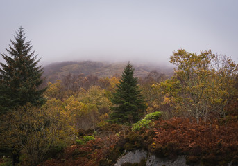 Obraz premium Foggy mountain