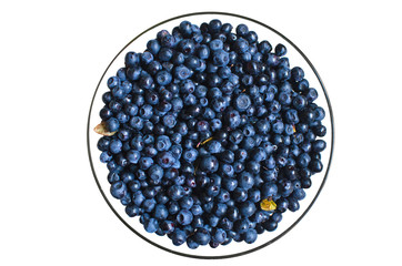 Ripe berries of wild blueberry isolated on white background