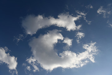 青空と雲「空想・雲のモンスターたち」（背中を見る、色々なところを見る、気配り、気遣うなどのイメージ）