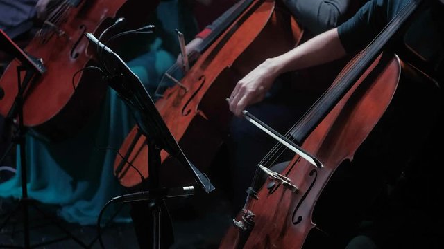 symphonic orchestra cello play in a large hall