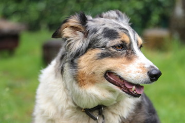 Fototapeta premium Luna from Oregon