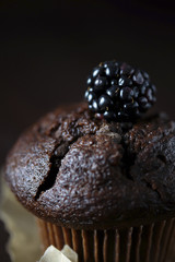 Chocolate muffin decorated with blackberry.