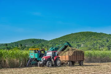 Deurstickers Maschinelle Zuckerrohr Ernte auf dem Feld im Binnenland von Kuba - Serie Cuba Reportage © mabofoto@icloud.com
