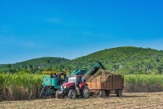 Maschinelle Zuckerrohr Ernte auf dem Feld im Binnenland von Kuba - Serie Cuba Reportage