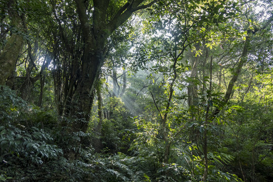 Sun ray, oblique light at Erzihping Trail © Kit Leong