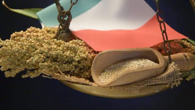 Sorghum vulgare Chenopodium quinoa Kirjodurra קינואה Mohrenhirse Qu&iacute;noa كينوا bicolor Sorgo Durra 高粱 Quinoa Saggina Kvinoja video Zah&iacute;na モロコシ Quinua &Kappa;&iota;&nu;ό&alpha; क्विन्वा Kvinoa Di&ecirc;m mạch 藜麥
