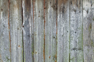 old rotten boards texture