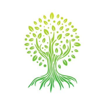 Logotype of a tree, a field of application education, family, medicine