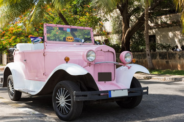 Amerikanischer rosa farbender Ford Cabriolet  Oldtimer parkt unter Palmen in Varadero Cuba - Serie Cuba Reportage
