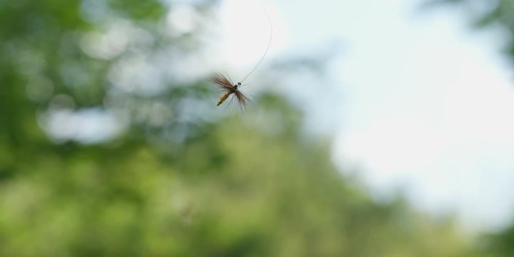 Fly Fishing, shot on RED Helium 8K