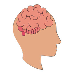 Human brain isolated icon vector illustration graphic design