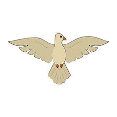 Dove bird cartoon icon vector illustration graphic design