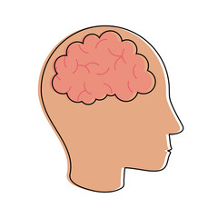 Human brain isolated icon vector illustration graphic design
