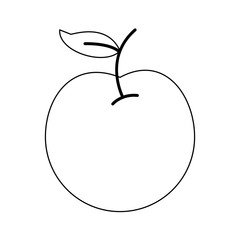 Apple delicious fruit icon vector illustration graphic design