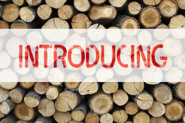 Conceptual announcement text caption inspiration showing Introducing Business concept for Introduction Start Intro Beginning written on wooden background with copy space