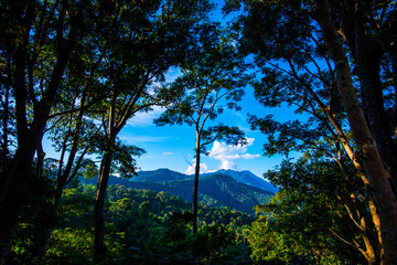 Mountain view at Phayao province