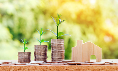 wooden house model and step of coins stacks with tree growing on top, nature background, money, saving and investment or family planning concept, over sun flare silhouette tone.