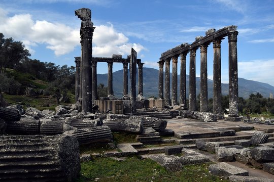 EVROMOS.THE TEMPLE OF ZEVS LEPSYNOS