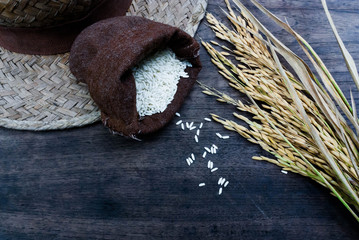 Thailand Rice on wooden table, rice in sackcloth and rice paddy on black wood,rice in sack,white rice in burlap sack with rice grain on the black wood