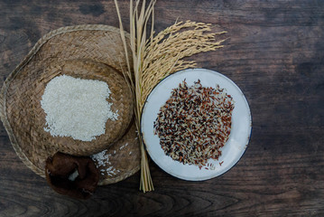 Thailand Rice on wooden table, rice in sackcloth and rice paddy on black wood,rice in sack,white rice in burlap sack with rice grain on the black wood
