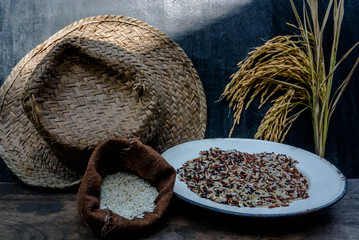 Thailand Rice on wooden table, rice in sackcloth and rice paddy on black wood,rice in sack,white rice in burlap sack with rice grain on the black wood