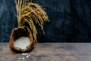 Thailand Rice on wooden table, rice in sackcloth and rice paddy on black wood,rice in sack,white rice in burlap sack with rice grain on the black wood