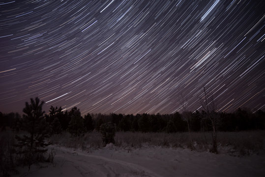 star tracks forest sky spruce