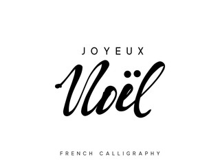 French text Joyeux Noel. Merry Christmas hand drawn calligraphy lettering.