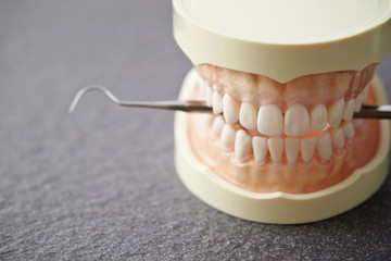 Dental tooth model with dentist's tool