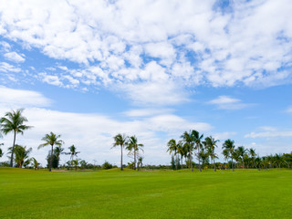 fairway in golfcourse with coconut trees and blue sky scene on sunshine day