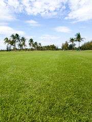 golfcourse with green fairway foreground cutting edge blue sky background
