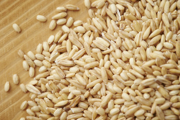 oats rice