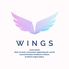 Modern colored wings in a futuristic style.